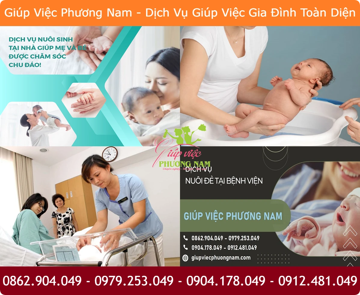 Tìm người nuôi đẻ